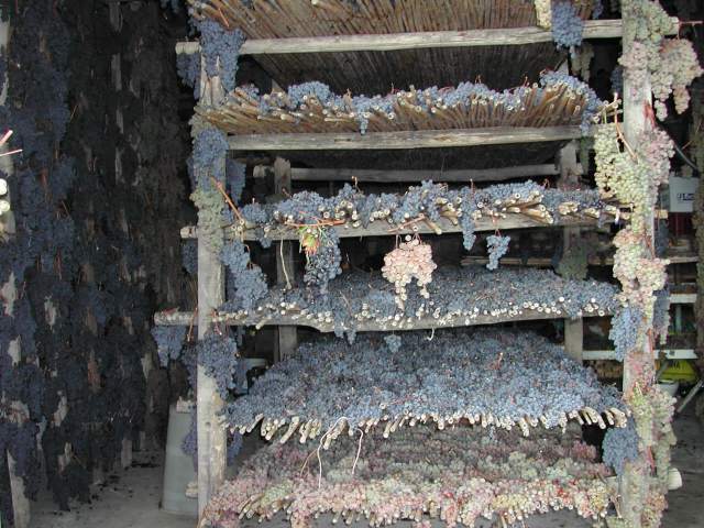 the withering of the grape