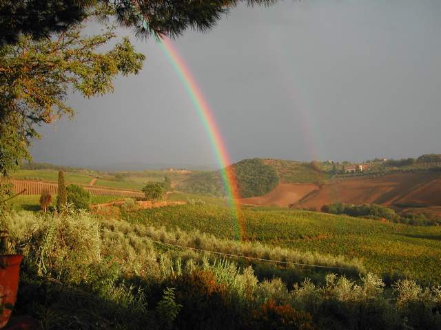 sight of our vine